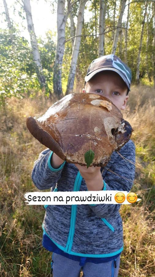 Wojnicz Aris Pokoje Goscinne מראה חיצוני תמונה